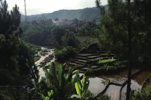 Diyar Villas Puncak NB33