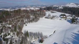 Kocurzonka Apartamenty