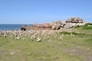 Appartements Gite de la Mer sur le port de plaisance de Lezardrieux Bretagne : photos des chambres