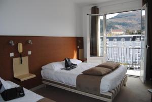 Hotels Adonis Lourdes - Notre Dame de la Sarte : photos des chambres