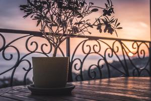 Elaia Boutique Apartments