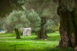 Koronisia Apartments Epirus Greece