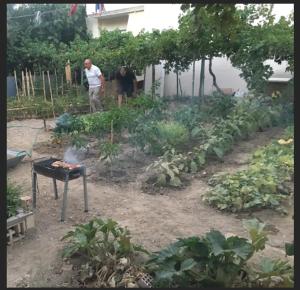 House with garden in Daskalopetra, Vrontados Chios-Island Greece