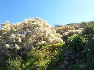 Chalet Ruta Las Lagunetas