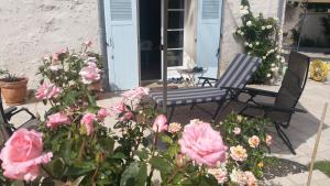 B&B / Chambres d'hotes Chambre d'hote Montlivault / Chambord : Chambre Double - Vue sur Jardin