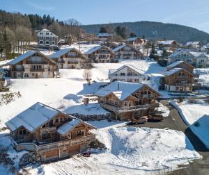 Chalet Avec Jacuzzi Gerardmer