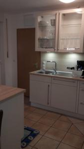 Froschkönig mit Teichblick