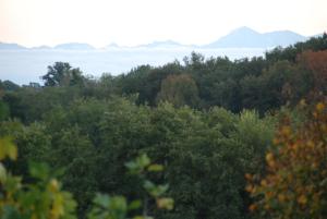 Domaine Sainte Barthe, entre Marciac et Nogaro