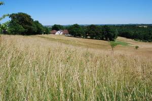 B&B / Chambres d'hotes Domaine Sainte Barthe, entre Marciac et Nogaro : photos des chambres