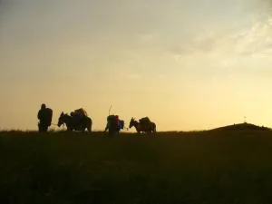 Ciuchi House - Salice Terme