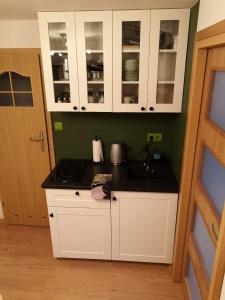 Apartament Zielony Zdrój