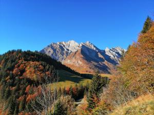 Chalets Chalet L'etale : photos des chambres