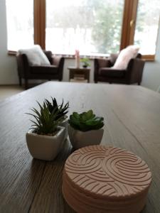 Romantic Chopok Juh Apartment 22