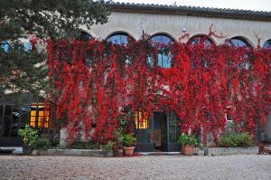 B&B / Chambres d'hotes Le Mas de Cyjelac : photos des chambres