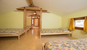 Schutzenbach Backpackers For Adults 18-34 years only