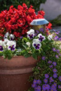 Apartment in Bol with Seaview, Terrace, Air condition, WIFI (3758-2)