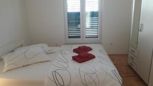 Apartment AnaKatarina 