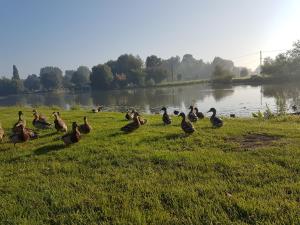 Camping le grand large photo 9