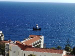 Lido Funchal Apartment balcony sea view