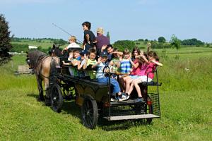 Nengshof Ferienwohnungen Mohnblume und Kornblume