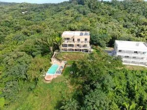 SeaScape Roatan - West End