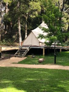 Garden Beds Glamping