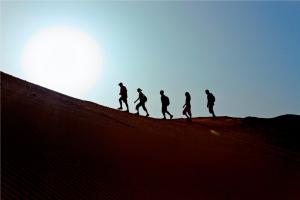 Sir Bani Yas Island, 12452 Dasah, United Arab Emirates.