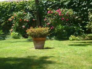 B&B / Chambres d'hotes Le Jardin de Beauvoir : Suite Supérieure - Vue sur Jardin