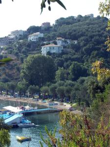 Dimitra Apartments K Corfu Greece