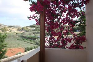 Ventoura Studios & Apartments Syros Greece