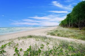 Casuarina Beachfront House - Hostie Properties