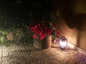 Apartments Anna Deluxe Kavala Greece