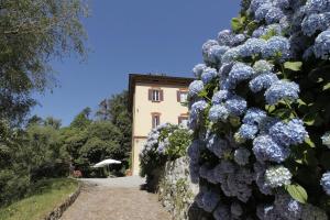 Pension I Faggi di S. Giorgio Brunate Italien