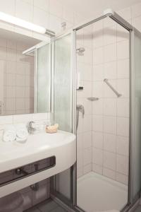 Double Room Single Use room in Hotel Seeblick