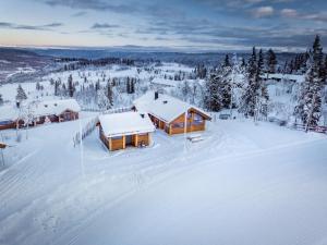 One-Bedroom Chalet room in Liapark
