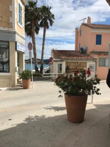Appartement cocooning plage des lecques