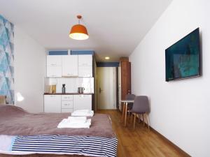 New Gudauri Apartment 543