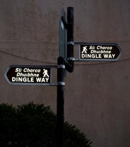 The Dingle Pub Rooms