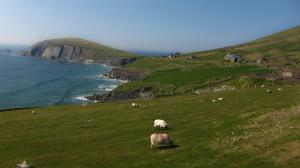 The Dingle Pub Rooms
