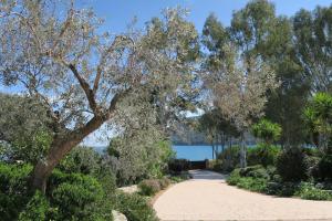 Aeolos a family paradise few steps from the beach Argolida Greece