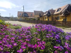 Huber Vendégszobák