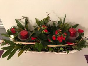 Elf