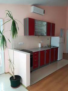 Apartman Rosanda 1