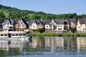 Mosel-Landhaus B&B - Briedern