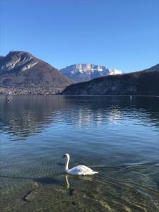 Maisons de vacances La Maison du Port, une exclusivite LLA Selections by Location Lac Annecy : photos des chambres