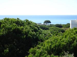 Villa with Sea View room in Rustica CIP