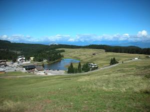DOLOMITI appart&rooms