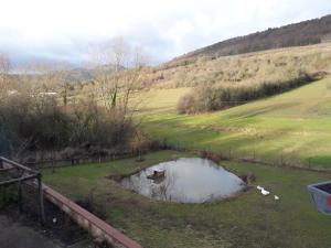 B&B / Chambres d'hotes Aux vignes : photos des chambres