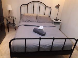 Parioli House near Borghese-LUISS University