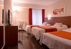 Triple Room room in Hotel Txartel